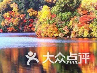 中医(小动物)专科培养机构与专科医师评价指南 2023 (附下载)