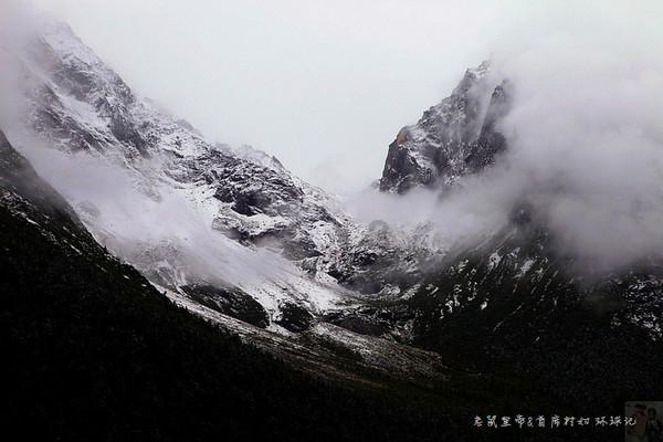 逃离诡异之林