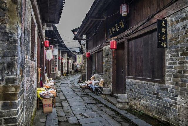 悲伤兔大冒险