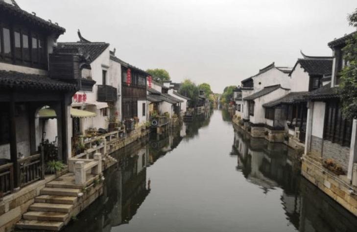 救援小巨鳄